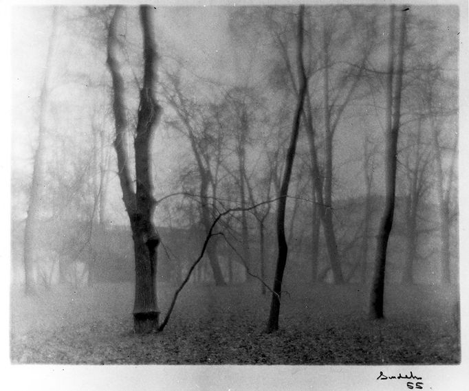 Josef Sudek - fotografie z výstavy Sudek: Obrazy a odrazy (nelze použít k jinému článku)