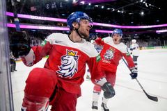 Útočník Smejkal nebude po zranění zubů chybět v duelu hokejistů proti Slovensku