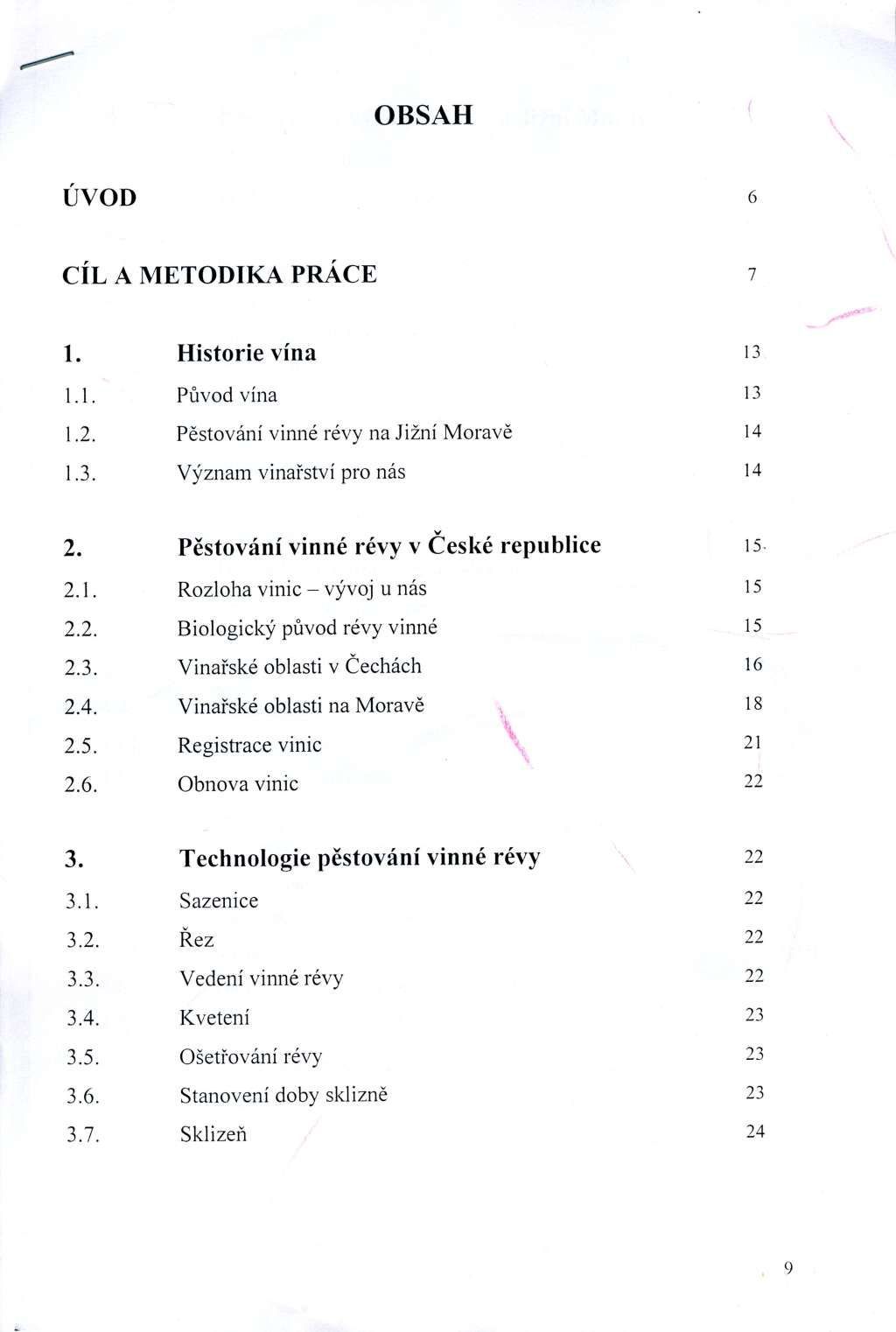 Diplomová práce - Suchánek - 1