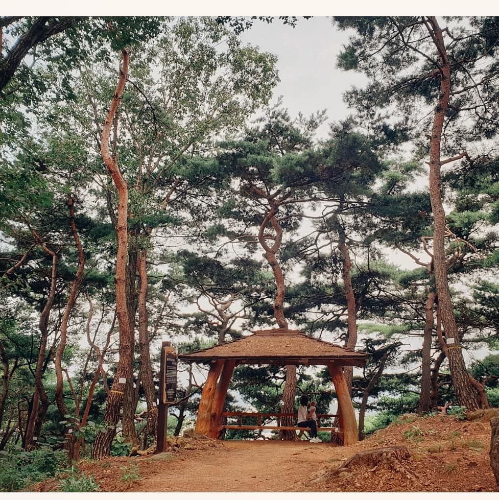 archiv sinoložky Dominiky Sakmárové