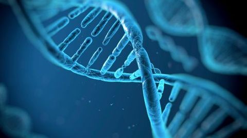 Přelomový objev? Svítící DNA pomůže odhalit zavčas rakovinu i další nemoci