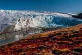 Grónský ledovec pokrývá plochu 1,7 milionu kilometrů čtverečních. Od roku 2002 se z něj odlomilo do moře 95 procent šelfového zalednění. Tedy té části, která zakrývá moře při pobřeží. Každým rokem odtaje v Grónsku přes 500 gigatun ledu. Pokud by Grónský ledovec roztál celý, zvedla by se hladina světových moří o sedm metrů.