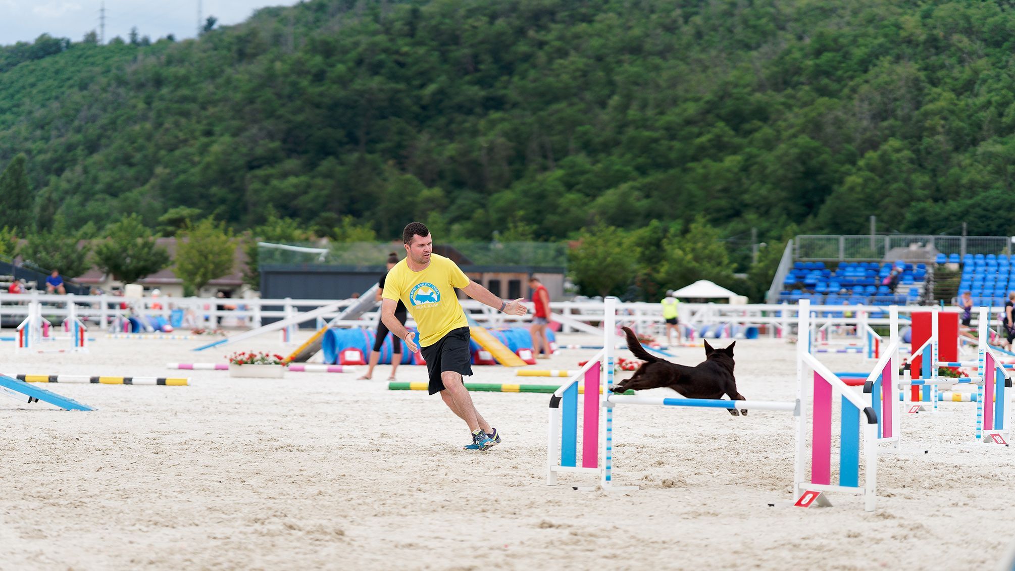 Prague Aglility Party 2023: evropské kynologické závody na dostihovém závodišti ve Velké Chuchli