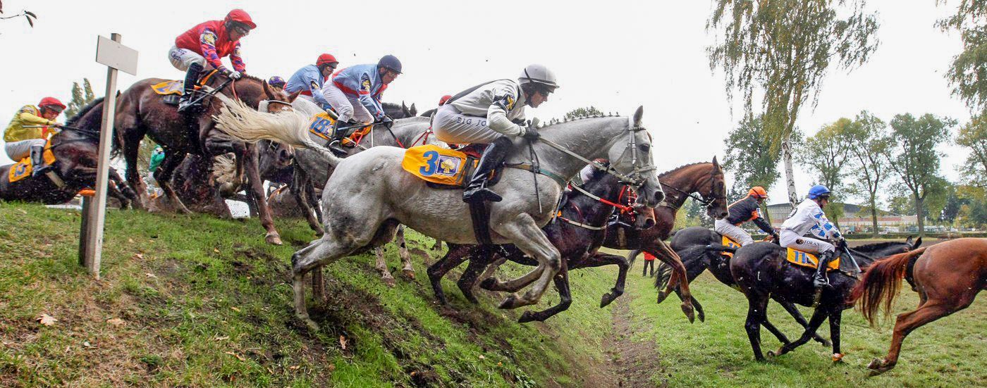 Velká Pardubická, historie, výročí, dostih, dostihy, Pardubice, Sport