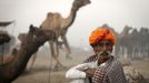 A camel herder sits near a camel at Pushkar Fair in the desert Indian state of Rajasthan November 23, 2012. Many international and domestic tourists throng to Pushkar to witness one of the most colourful and popular fairs in India. Thousands of animals, mainly camels, are brought to the fair to be sold and traded. REUTERS/Danish Siddiqui (INDIA - Tags: SOCIETY ANIMALS) Published: Lis. 23, 2012, 5:17 odp.