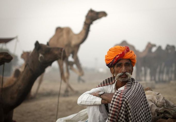 A camel herder sits near a camel at Pushkar Fair in the desert Indian state of Rajasthan November 23, 2012. Many international and domestic tourists throng to Pushkar to witness one of the most colourful and popular fairs in India. Thousands of animals, mainly camels, are brought to the fair to be sold and traded. REUTERS/Danish Siddiqui (INDIA - Tags: SOCIETY ANIMALS) Published: Lis. 23, 2012, 5:17 odp.