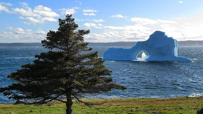 Ledovec u kanadských břehů.