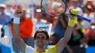 Australian Open: David Ferrer