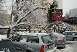 Zatížené větve v ulici Bratří Štefanů v Hradci Králové museli prořezat hasiči. Jinak by hrozilo, že spadnou na zaparkovaná auta-
