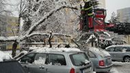 Zatížené větve v ulici Bratří Štefanů v Hradci Králové museli prořezat hasiči. Jinak by hrozilo, že spadnou na zaparkovaná auta-