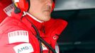 Michael Schumacher, odborný poradce Ferrari