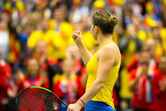 Siniaková - Halepová, Fed Cup Česko vs. Rumunsko