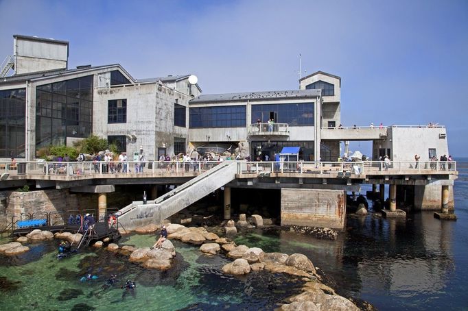 Monterey Bay Aquarium