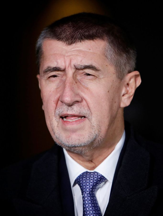 Andrej Babiš na archivním snímku. Pražský hrad, Praha 28. 11. 2017.