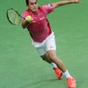 Finále Davis Cupu, Tomáš Berdich - Nicolas Almagro