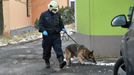 Policejní vyšetřovatel se psem ohledávají po požáru okolí domu pro osoby s mentálním a kombinovaným postižením. Vejprty, 19. ledna 2020.