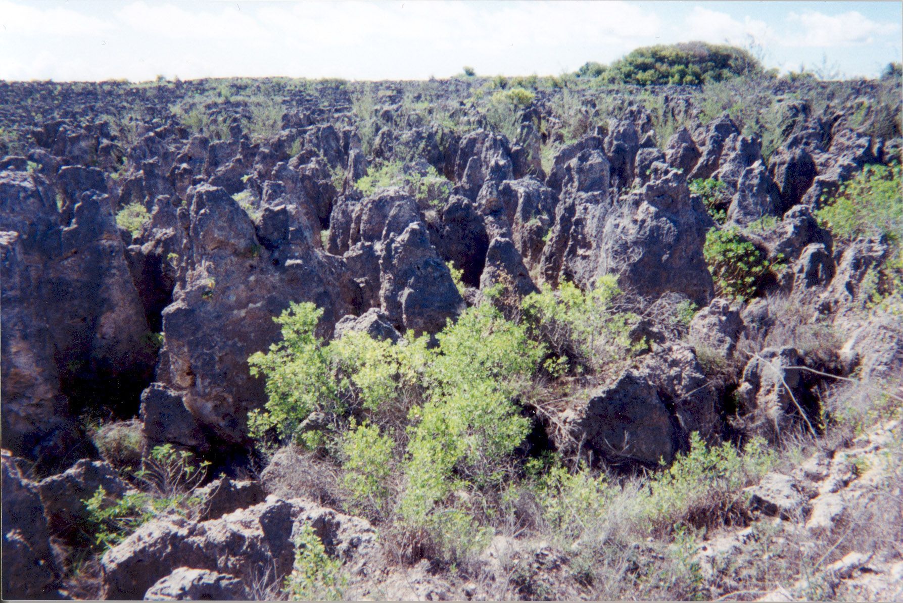 Nauru - těžba fosfátu