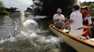 A swan and cygnet are released by the Queen's Swan Uppers during the annual Swan Upping ceremony on the River Thames between Shepperton and Windsor in southern England J