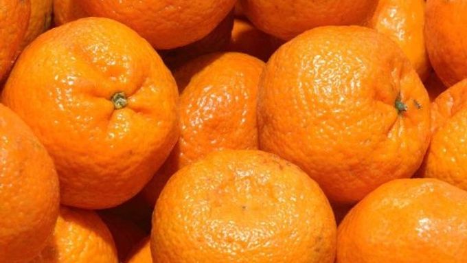 Mandarinky jsou v Česku o 12 centů na kilogram levnější.