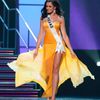 Finalistka Miss Universe - Miss Polsko