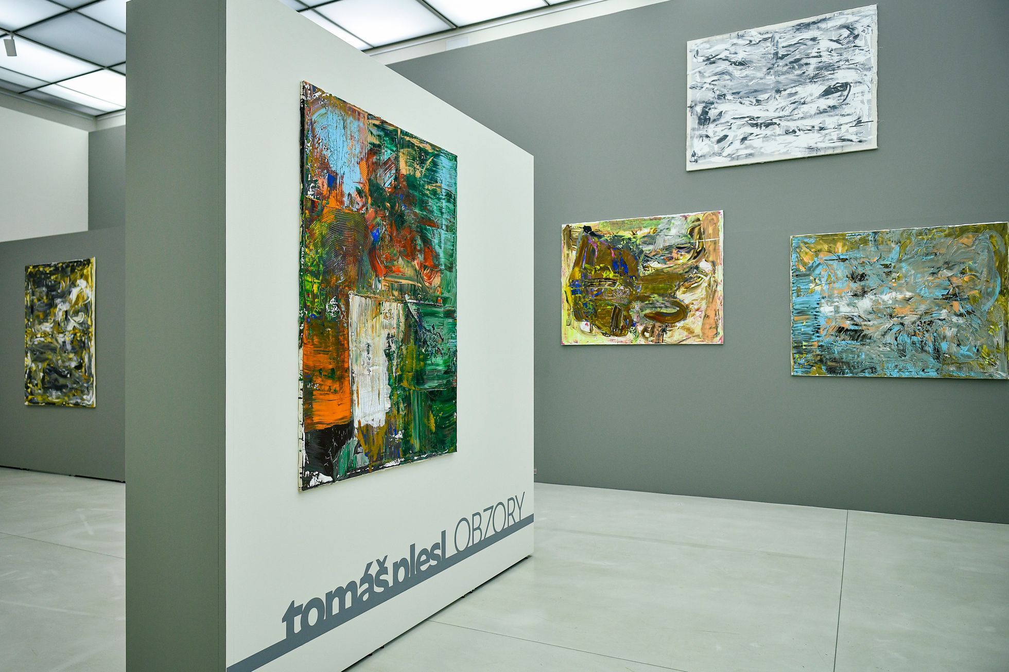 Tomáš Plesl, Obzory, výstava, 2022
