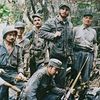 Kubánská revoluce v barvě, Kuba, revoluce, historie, Zahraničí