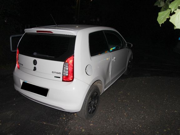 Policie dopadla recidivistu, který na Bruntálsku vykradl několik aut. Hlavní roli sehrál německý ovčák Ragnar. Ten psovody dovedl ke zloději, který se schovával v křoví.