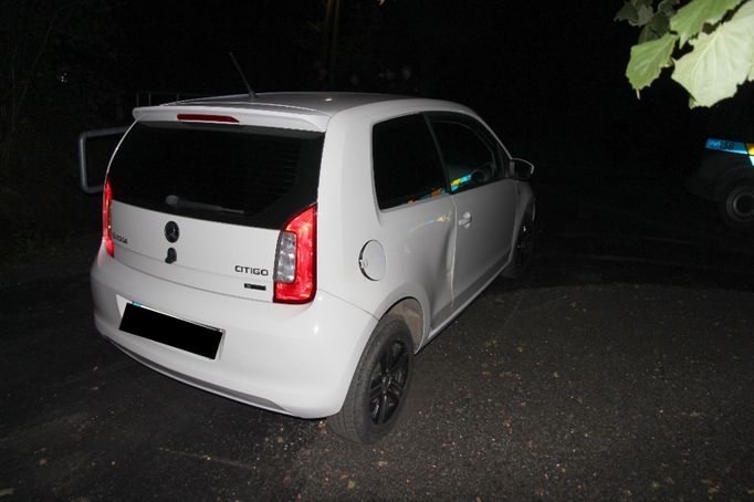 Policie dopadla recidivistu, který na Bruntálsku vykradl několik aut. Hlavní roli sehrál německý ovčák Ragnar. Ten psovody dovedl ke zloději, který se schovával v křoví.