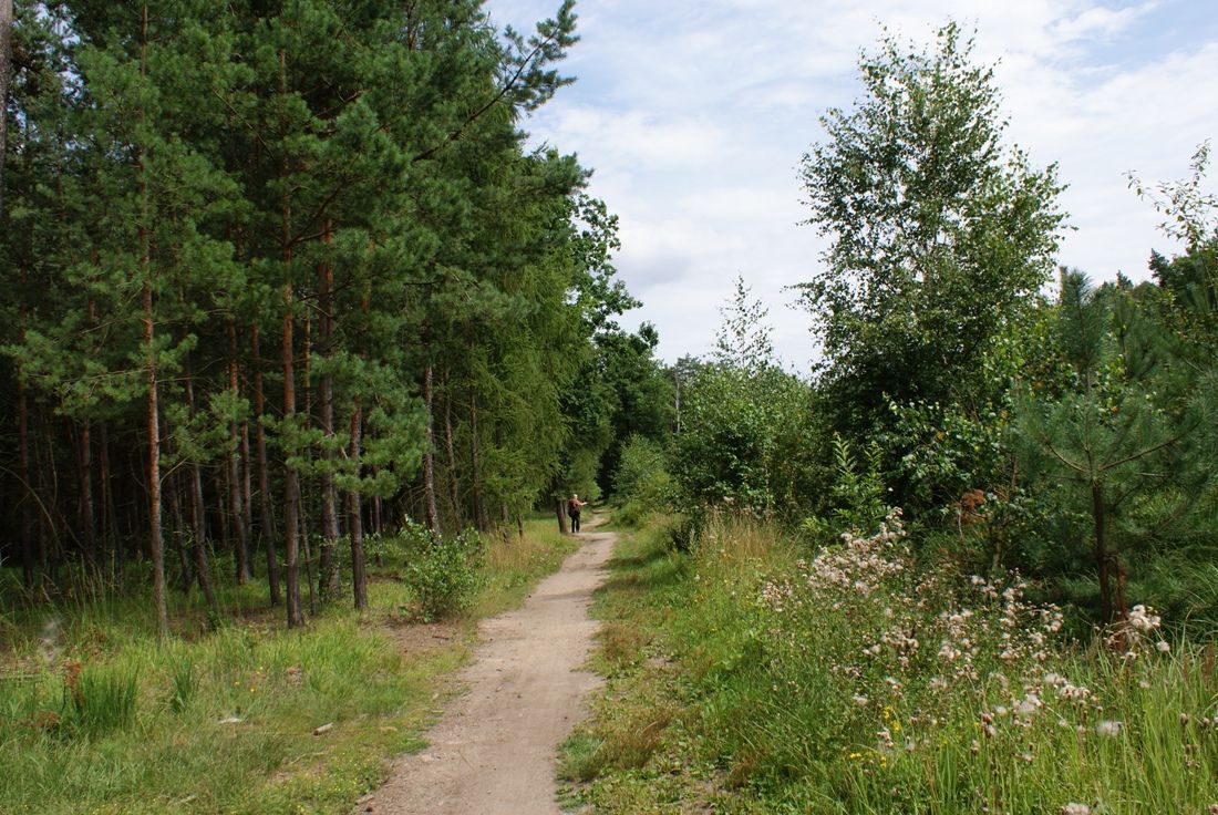 Klánovický les