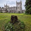 Strašidelný hrad Charleville a tajemný druidský les poblíž irského Tullamore