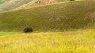 Rozkvetlá letní pole v okolí italské vesnice Castelluccio di Norcia