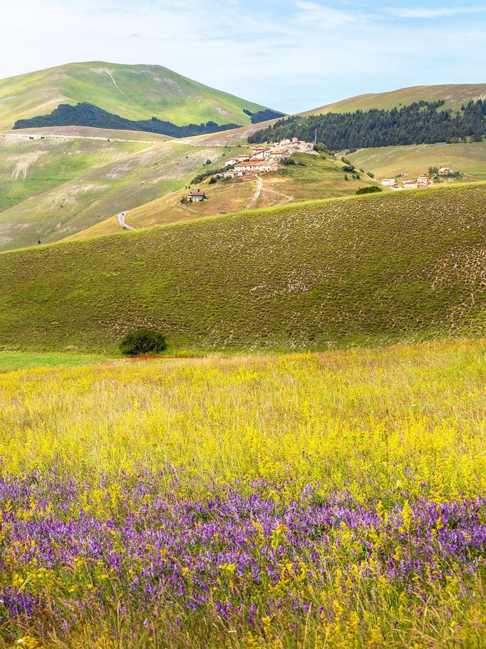 Rozkvetlá letní pole v okolí italské vesnice Castelluccio di Norcia