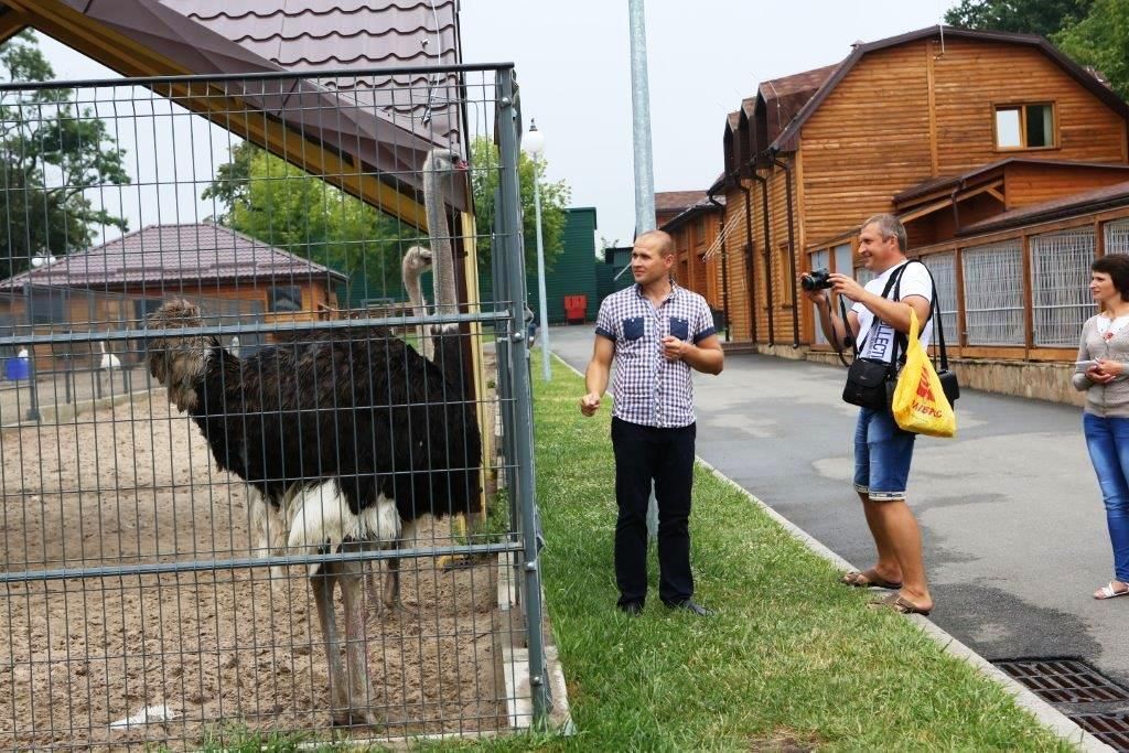 Rezidence exprezidenta Janukovyče