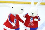 Kromě hokeje viděli v první přestávce poprvé maskoty domácího mistrovství světa v Praze a Ostravě, králíky Boba a Bobka.