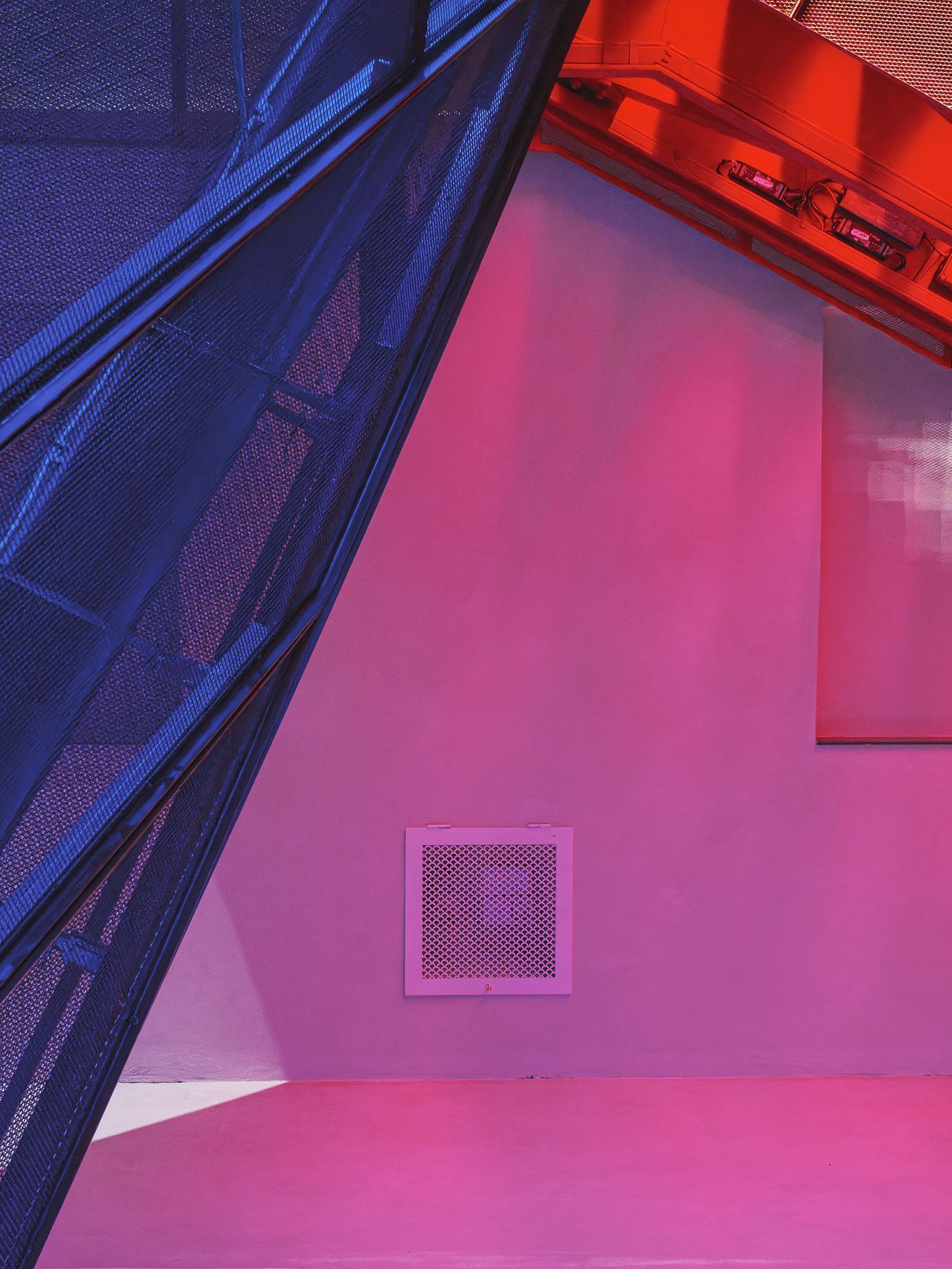 Top Foto 2023: Rok očima Tomáše Vocelky