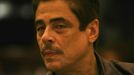 Benicio del Toro jako Tom Nichols.