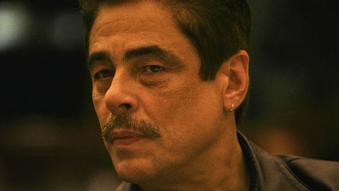 Benicio del Toro jako Tom Nichols.