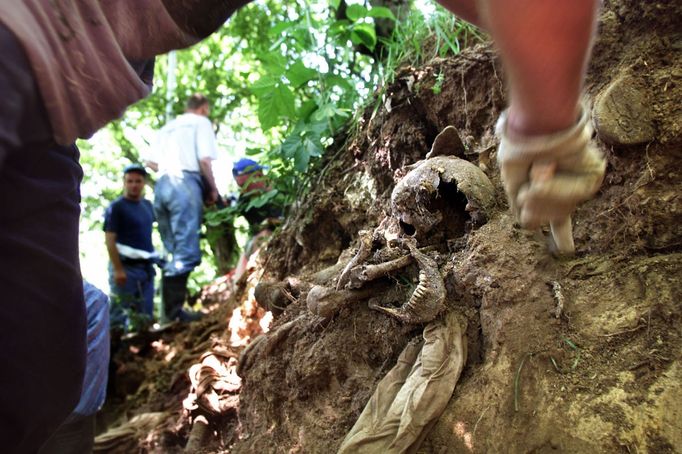 Srebrenický masakr byl válečný zločin, spáchaný v červenci 1995 během války v Bosně a Hercegovině.