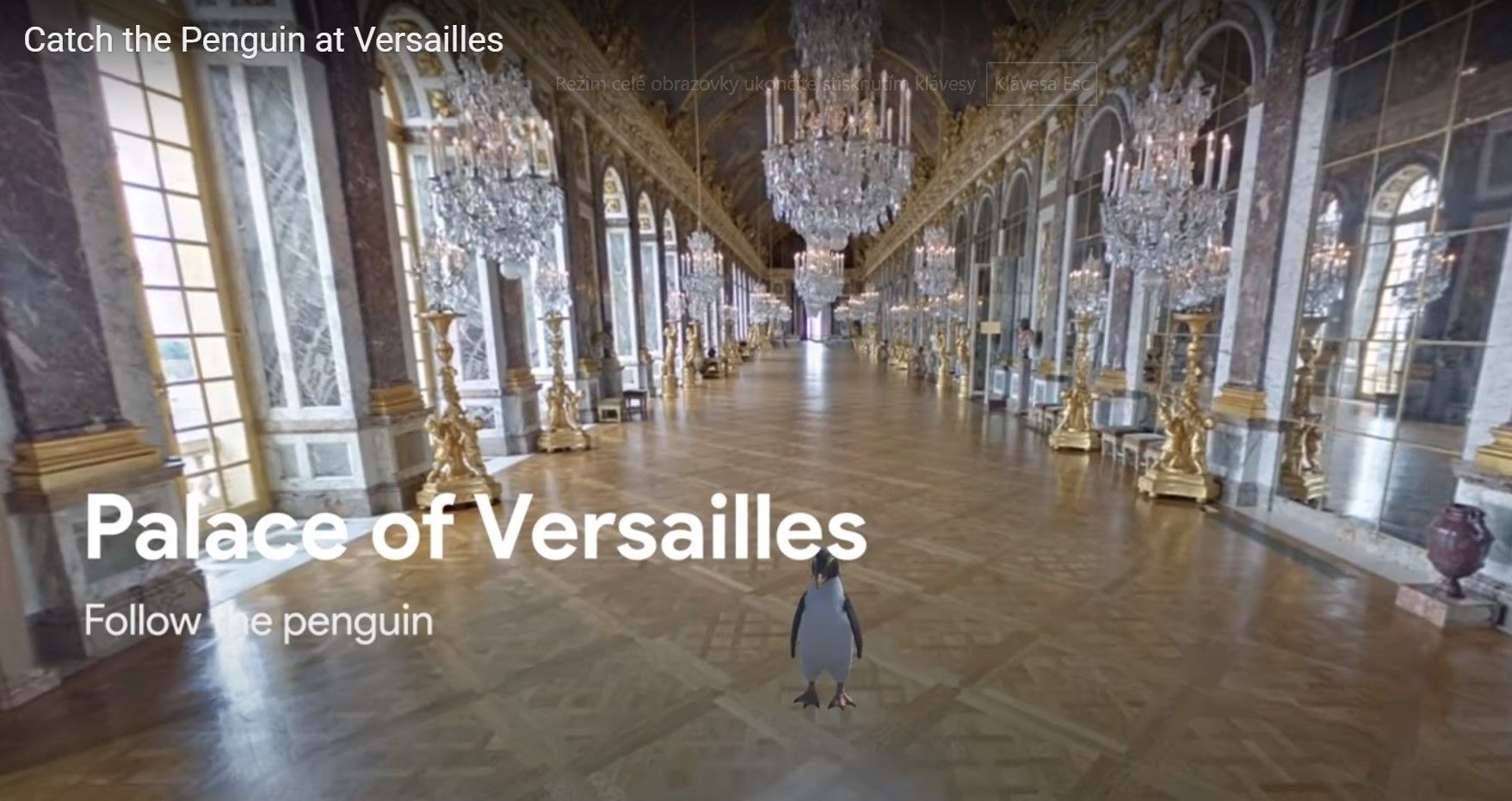 Tučňák ve Versailles