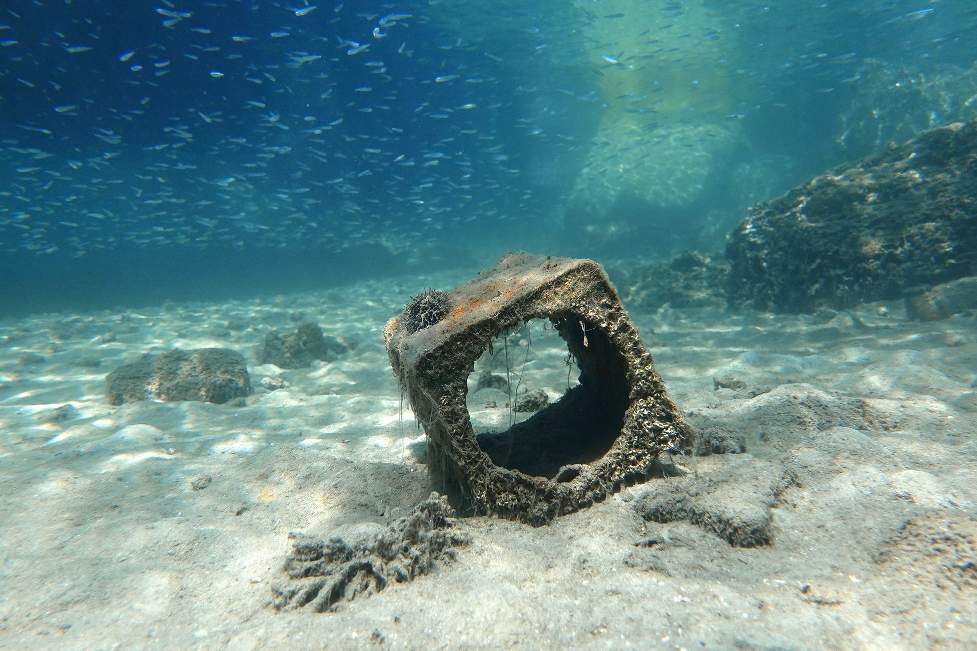 Fotogalerie / Odpad na dně moře / Reuters / 10
