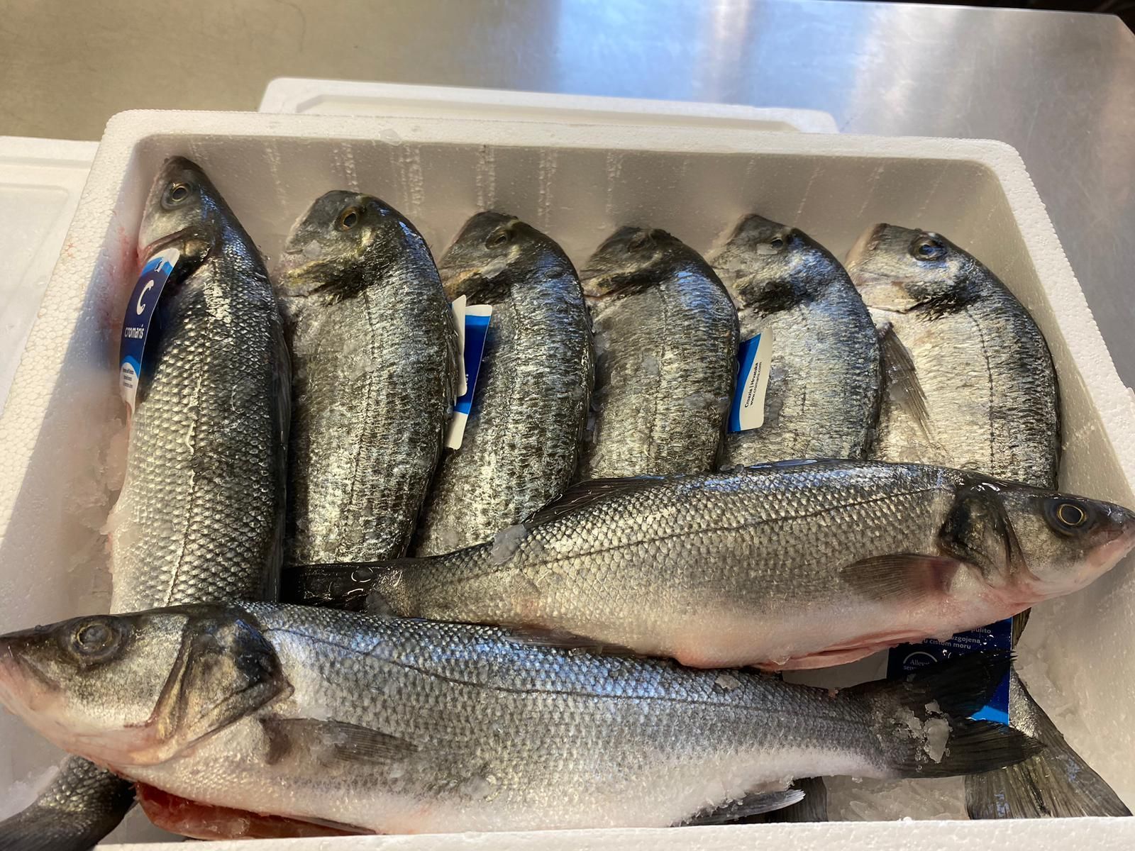 Agapi mou taverna Jablonec syrové ryby tác