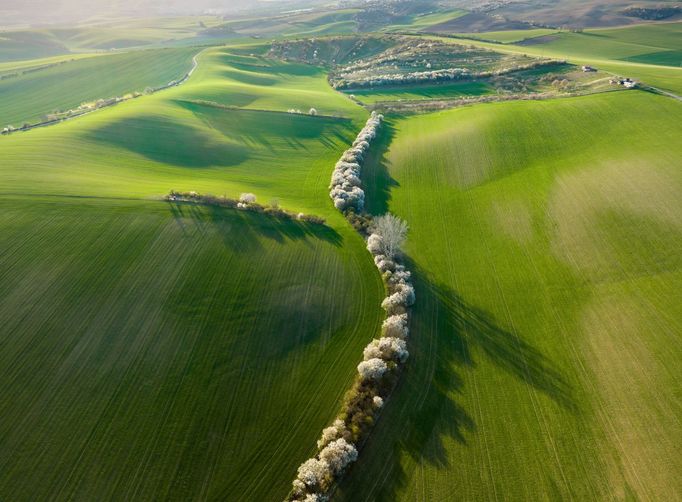 Moravské Slovácko, jižní Morava, fotografie z dronu, fotograf Radek Severa