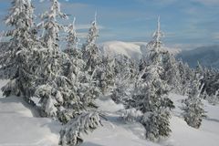 Nejchladnější týden roku začal, v Bedřichově bylo -20°C