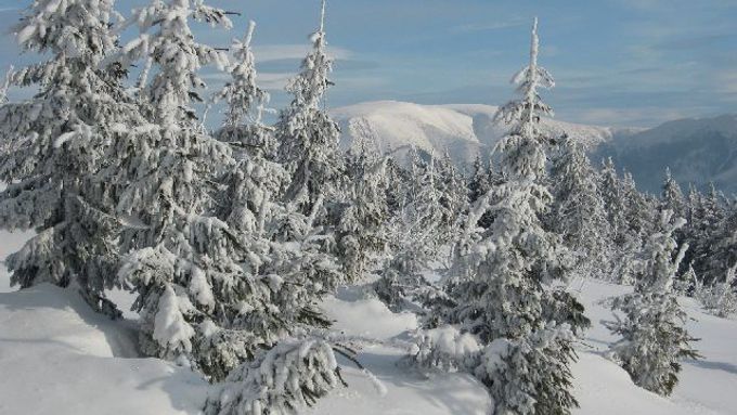 V Krkonoších mají dalších 11cm nového sněhu. Ilustrační snímek.