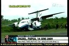 Video: Pes zavinil nehodu letadla