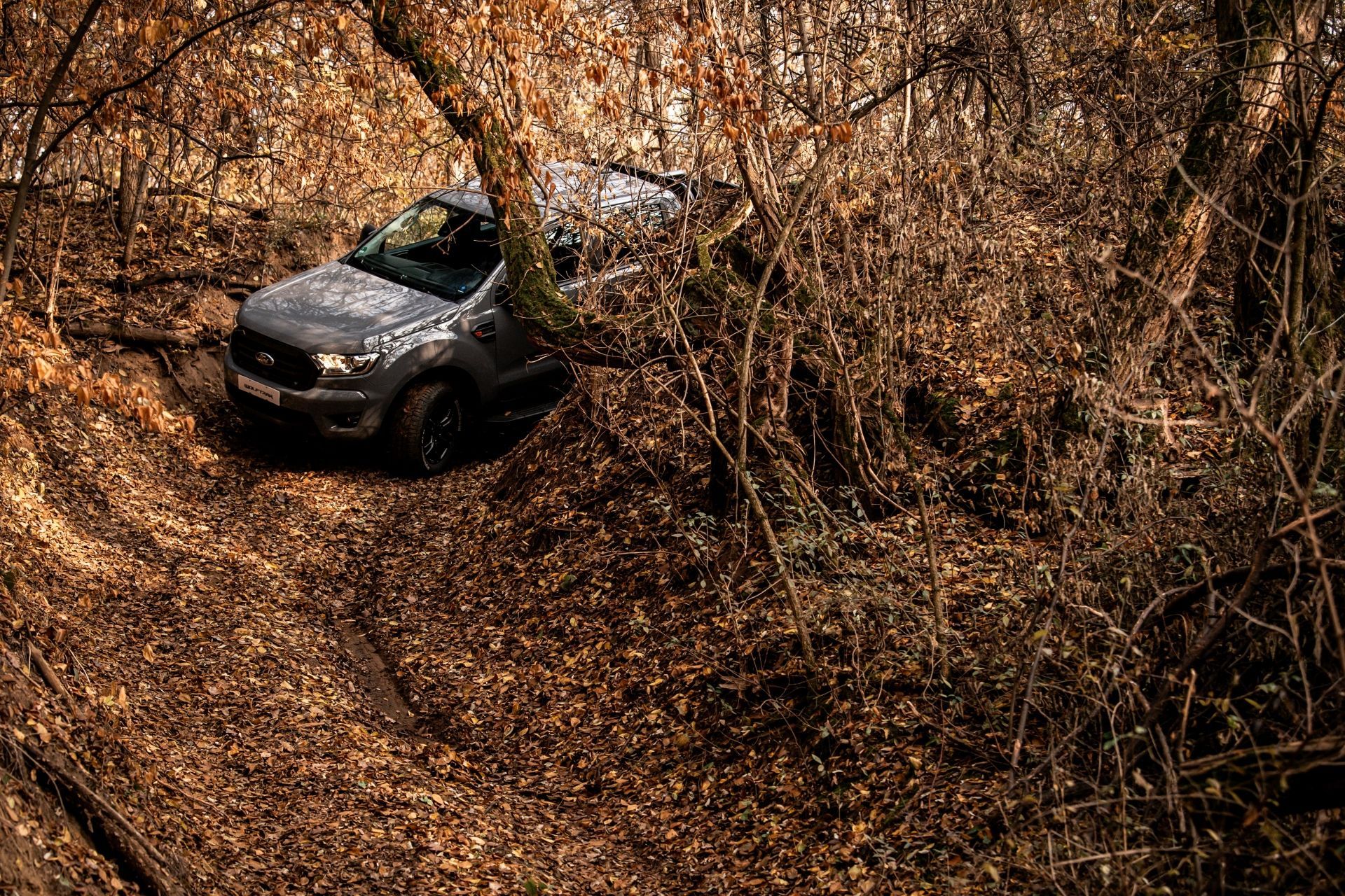 Ford Ranger Wolftrak