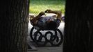 A man uses his iPhone as he lies on a bench in a park located in central Beijing September 21, 2012. Apple Inc's iPhone 5 hit stores around the globe on Friday, but for China, it was only on sale in Hong Kong, whose proximity to China supports a thriving grey market, with small groups of people carrying rucksacks filled with cash waiting outside the city's flagship store hoping to snap up phones for resale. REUTERS/David Gray (CHINA - Tags: BUSINESS SOCIETY TELECOMS) Published: Zář. 21, 2012, 8:12 dop.