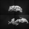 Kometa Čurjumov-Gerasimenko zblízka