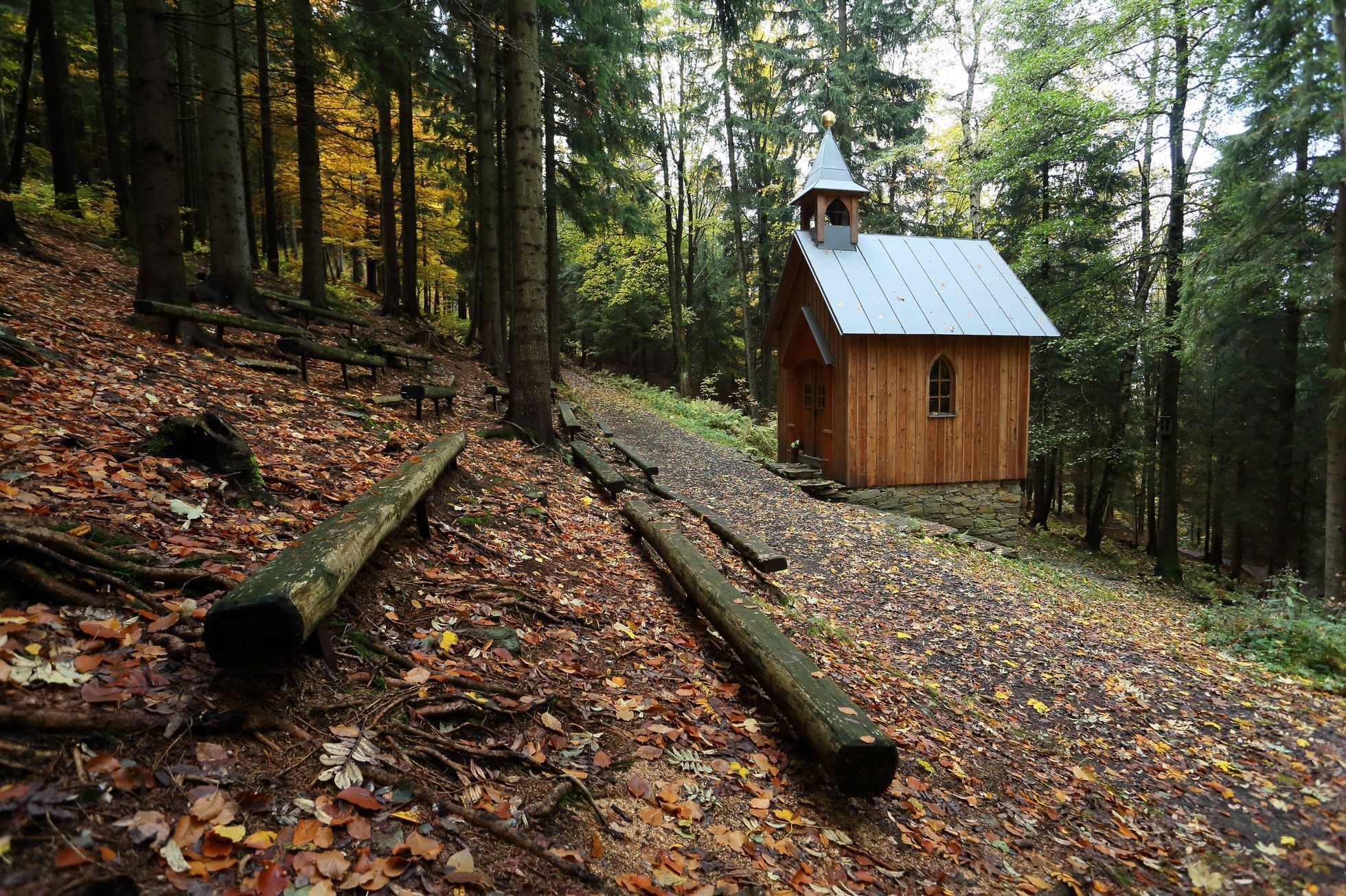 Poniklá Stromovice Krkonoše