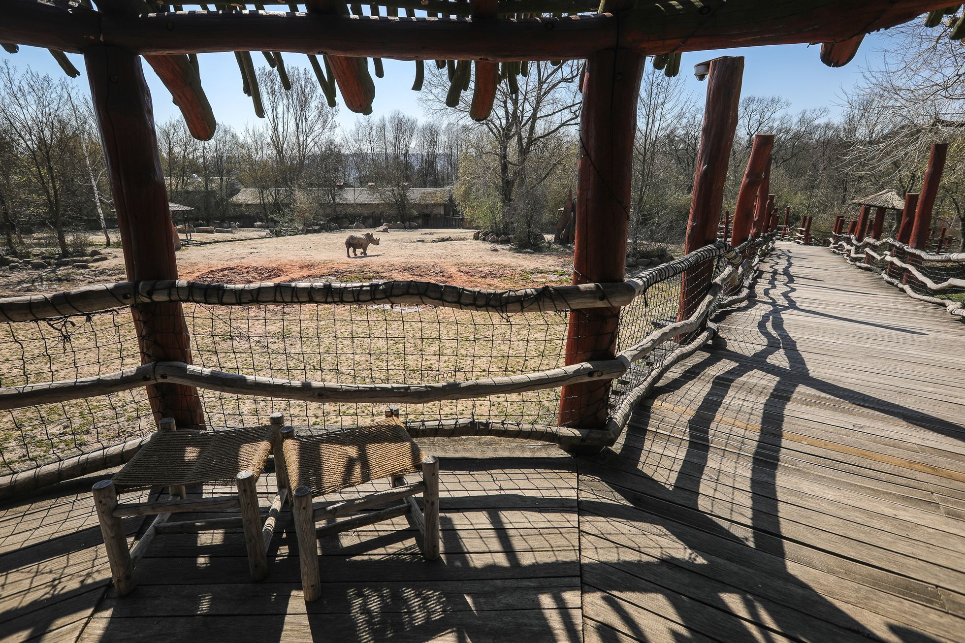 Uzavřená Zoo Dvůr Králové kvůli nouzovému stavu